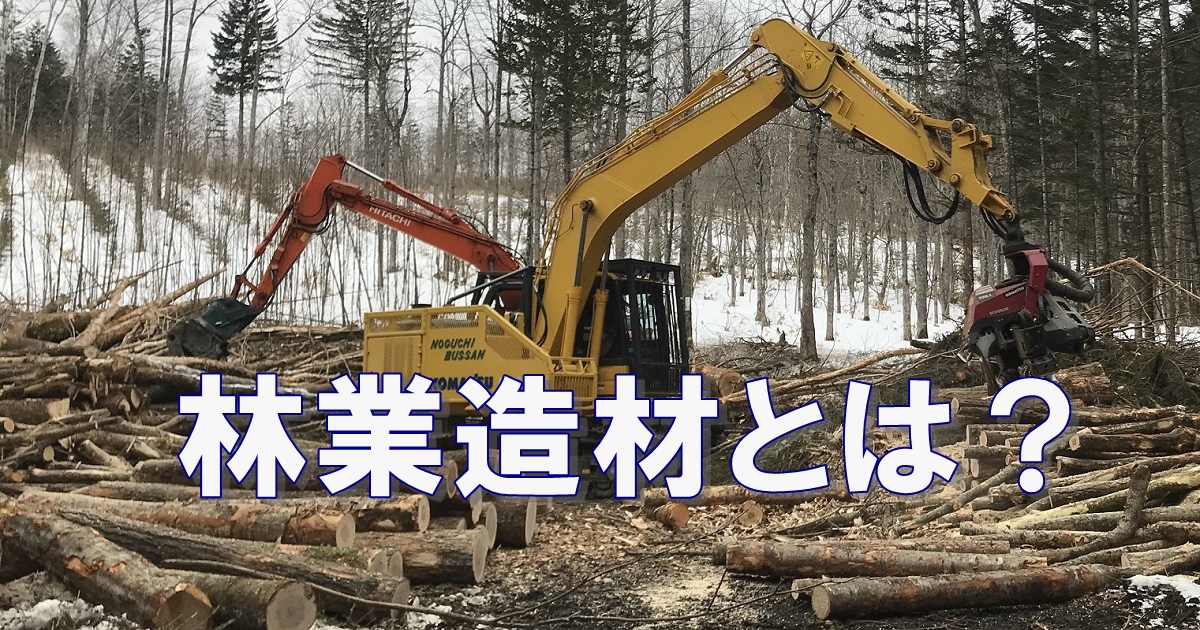 林業造材の仕事とは？