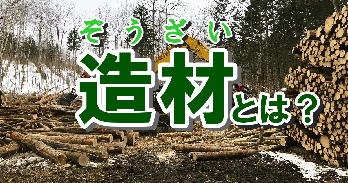 林業の造材作業とは、具体的にどんな仕事なのでしょうか？