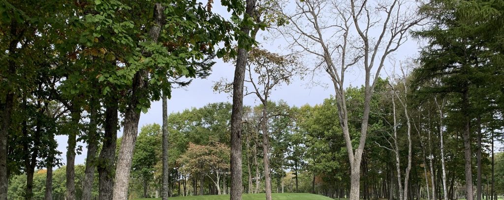 三和林業の人材募集について