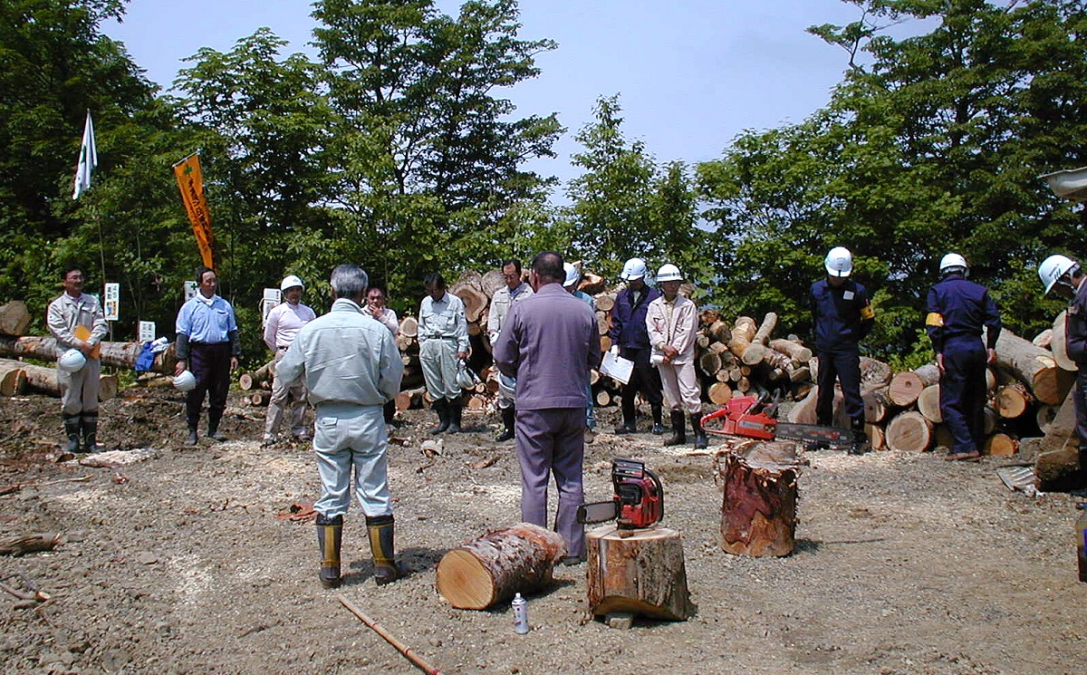 安全を軽視する林業会社には就職しない