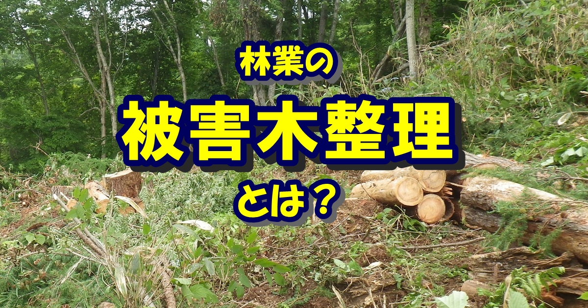 林業の被害木整理とは？