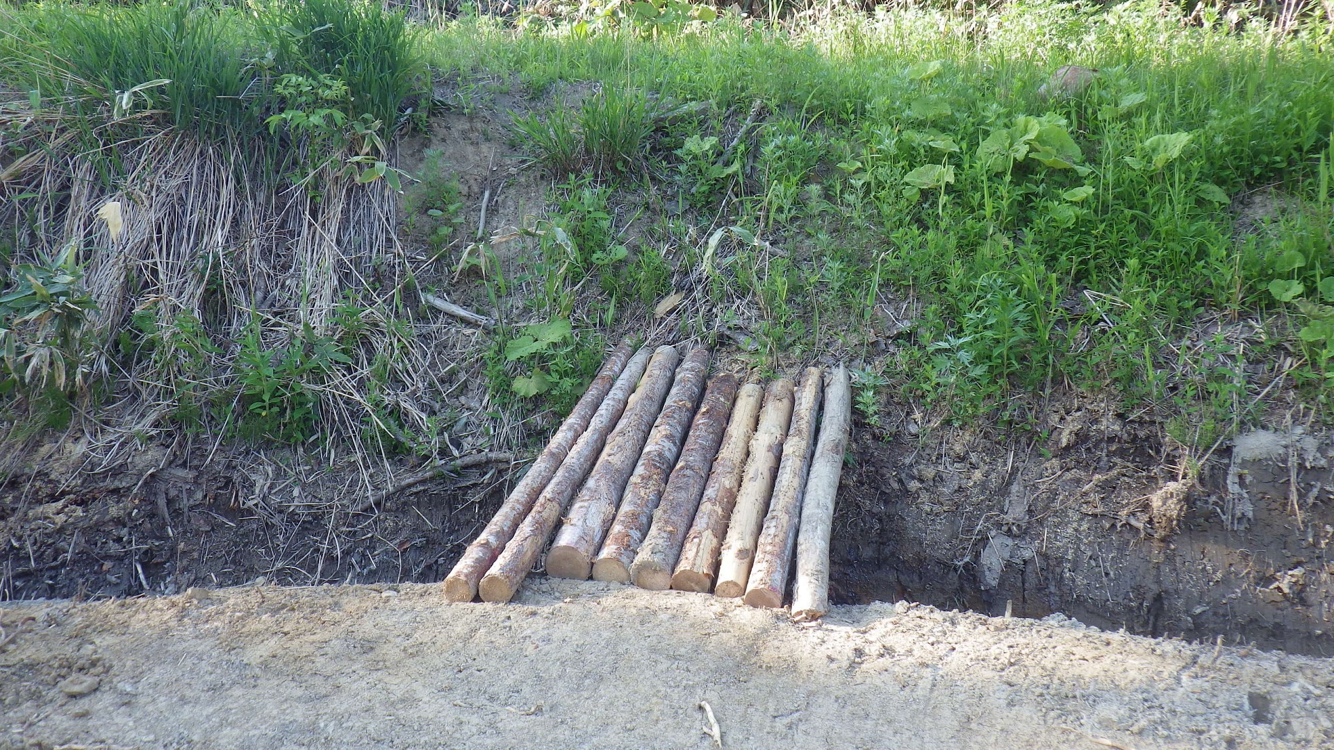 未利用材を土木の材料としてその場で使う工夫もされてます。
