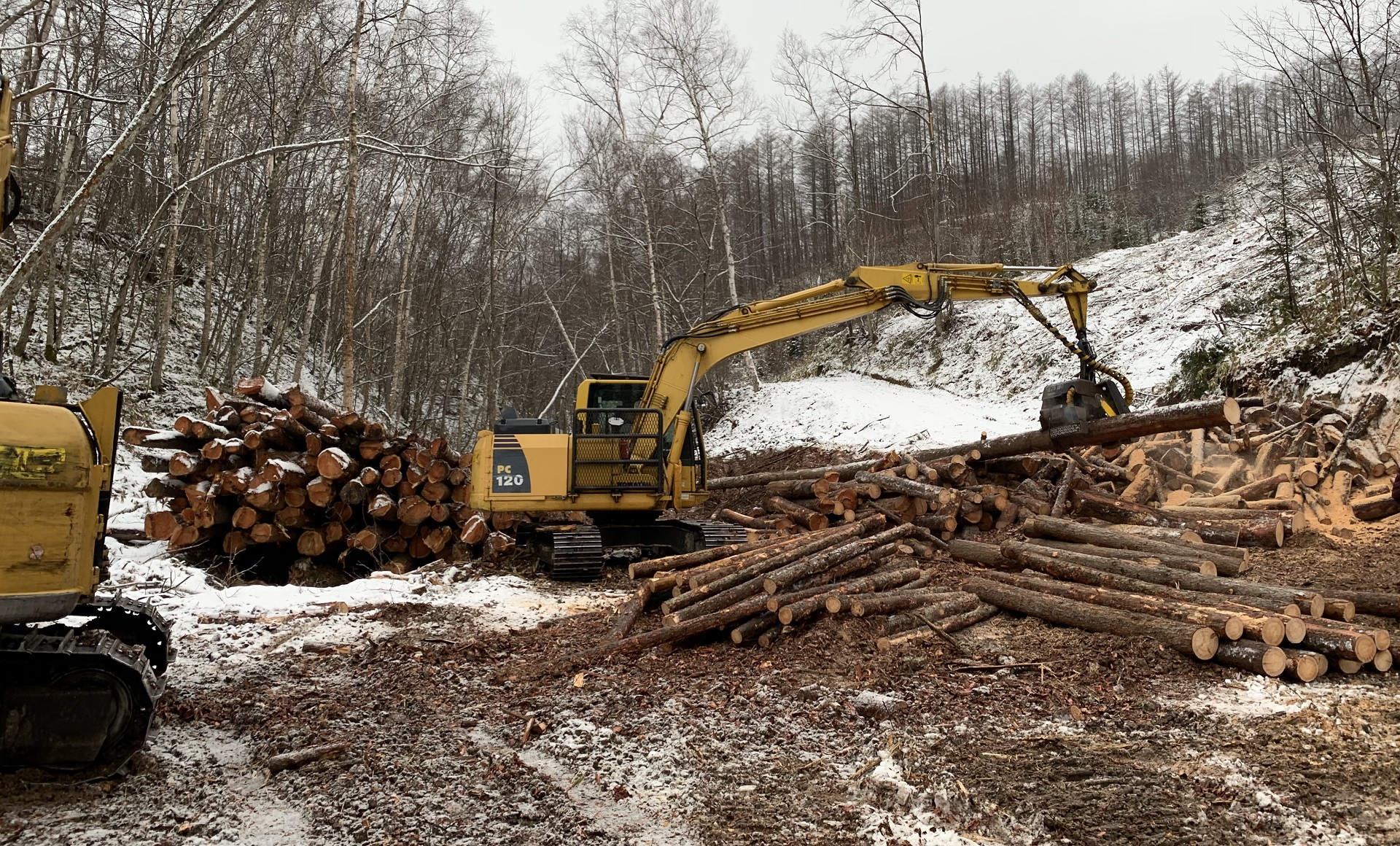 伐採現場には無駄がない資源の活かし方を要求されてます。