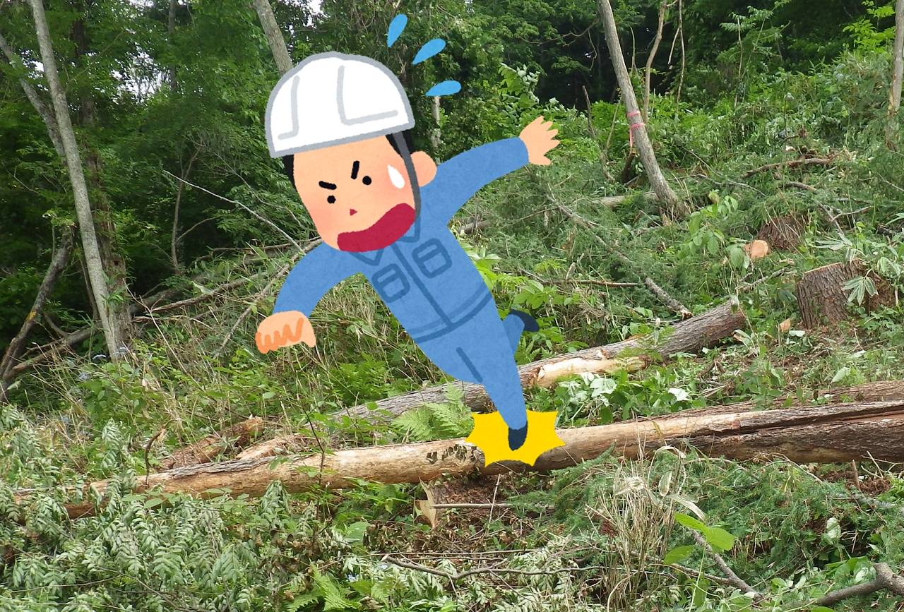 下刈りなどの作業で林内に入る事が多いので被害木は放置できない